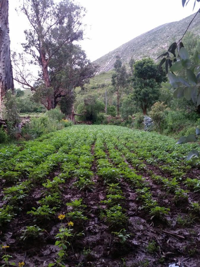 El Molino Panzió Torotoro Kültér fotó